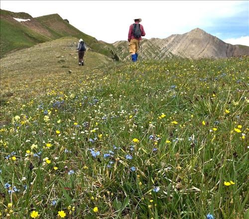 Heading up the open ridge