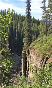 Overlooking Lineham Creek near the start of the trail
