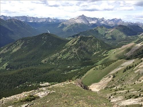 Ramp down from Lineham towards Lantern Creek, with Picklejar Creek and Mist Mt in the background