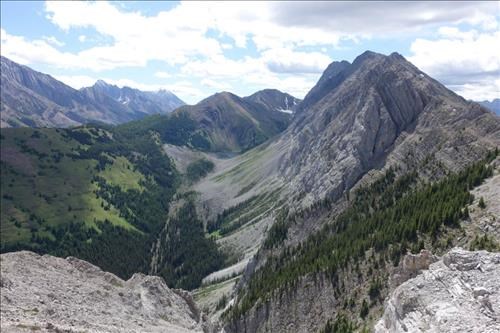 Pocaterra Ridge from Roberta