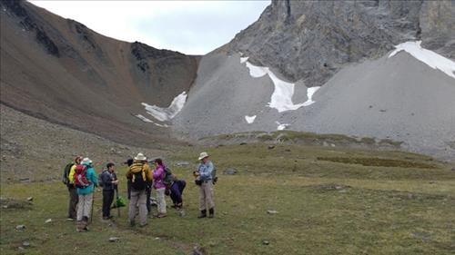 Ramblers with a heard of sheep barely visible behind. Grizzly Col above.