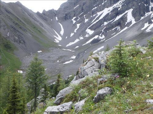 Valley below Mt. Warspite
