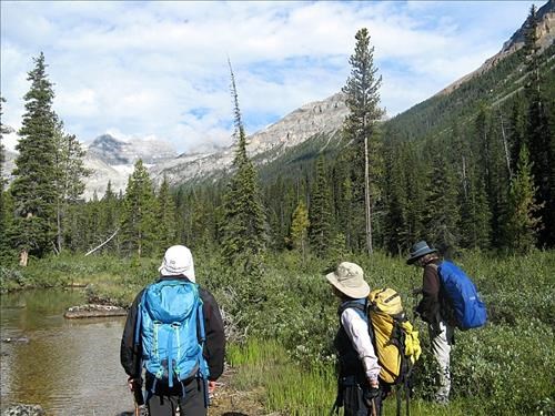 Starting up the wild Chickadee valley