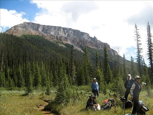 One of the few open areas. Boom mountain in background