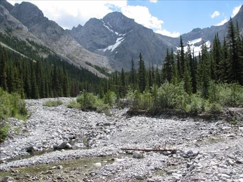 2013 devastation on drainage from Rae Glacier 2013 devastation on drainage from Rae Glacier