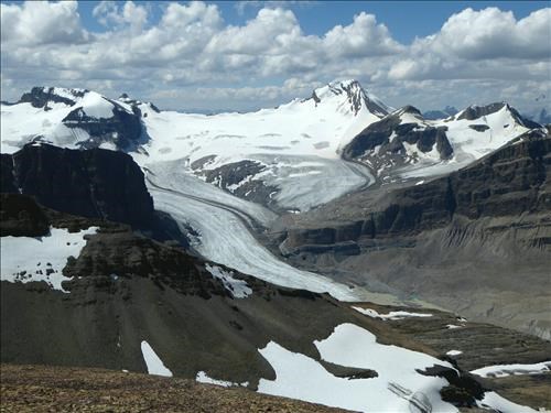 Peyto Glacier.