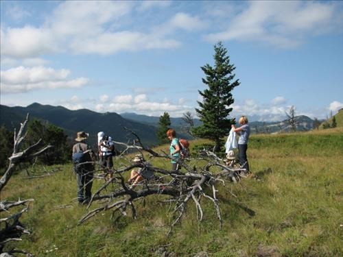Fine weather on our first knoll in the Bull Creek Hills