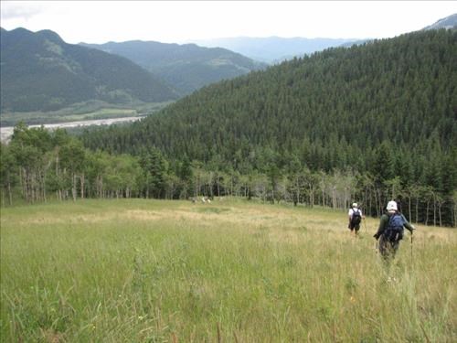 Descending meadows to Fir Creek