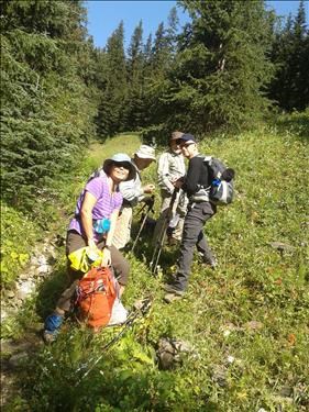 Starting up the pass in the Sunshine