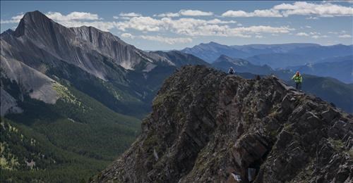 {172 Christine Grotefeld} and {976 Jeannette Procter} on the ridge