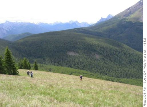 Pigeon Mtn, southeast slope