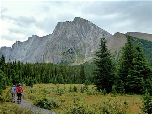 We get a good view of Mt Chester once we reach an alpine meadow.