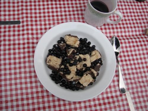 Saskatoon-huckleberry mix with ice cream--a paleo hunter/gatherer treat