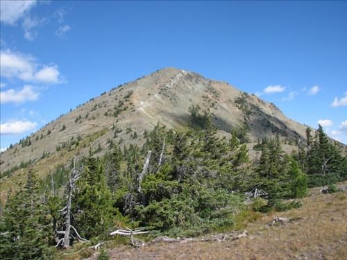 Elk Mountain summit from shoulder