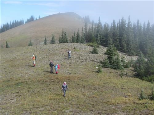 Surveyor's Ridge cleared off