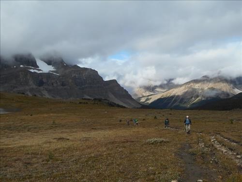 Mosquito Creek meadows, towards to North Molar pass