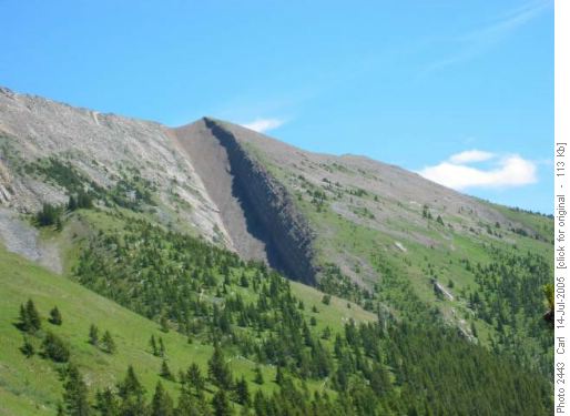 Lineham Ridge north descent