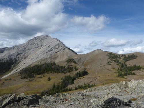 Salter meadows and South Burke