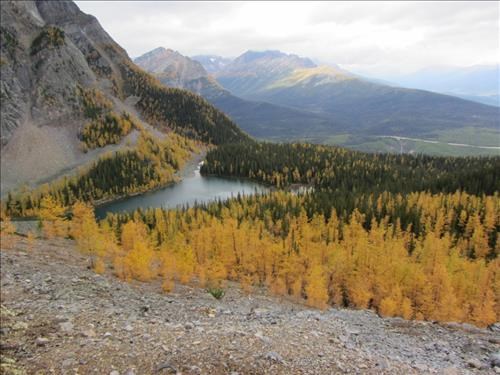 View west over Arnica Lake