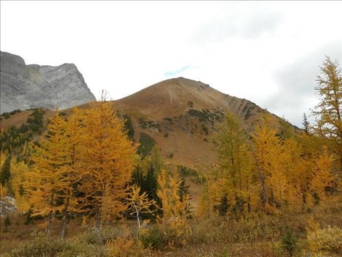 Pocatera Ridge