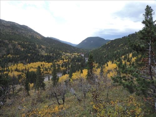 View up Cataract Creek