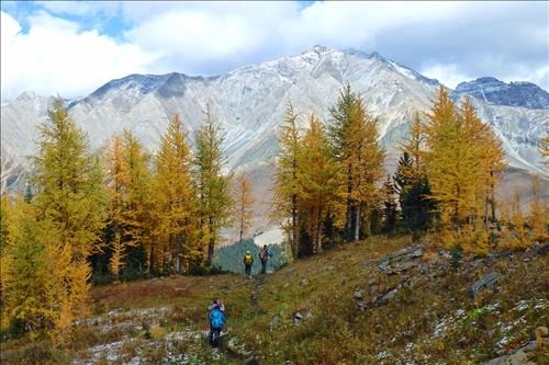 Descent into the Pocaterra Tarns valley