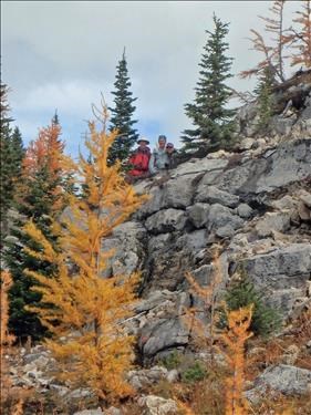 On the trail between Sunshine and Healy