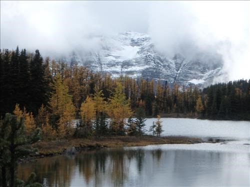 Laryx Lake & the Monarch