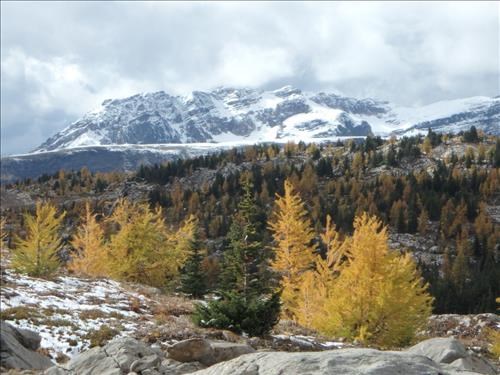 Healy Meadows & Ramparts