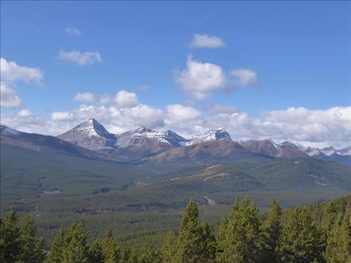 Baldy Ridge view