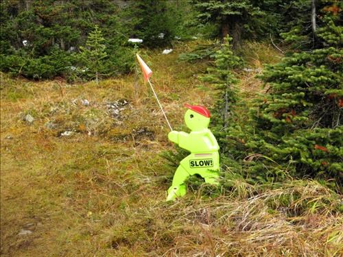 Flagman directing hikers just before Taylor Lake 