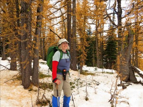 Pause part way up the Ridge to enjoy the Larches
