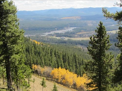 Still some fall colours: seen from Bobcat trail