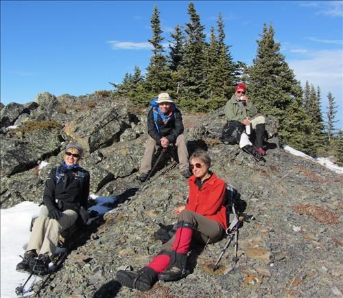 Sunny and warm rest spot: Ginger, Lennard, Yolande & Bernie