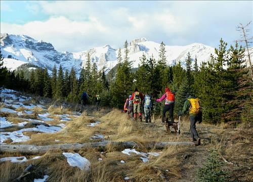 Hiking up the cut block toward snow covered peaks.