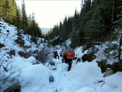 A snowy creek bed.