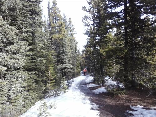 Snowy Trail