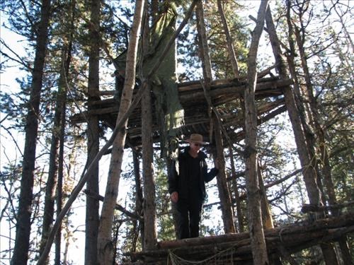 Giant tree fort--the things you find out in the wilderness!