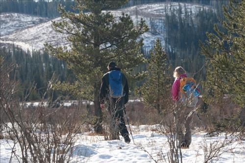 Bill & Madeleine cross the meadow to lunch