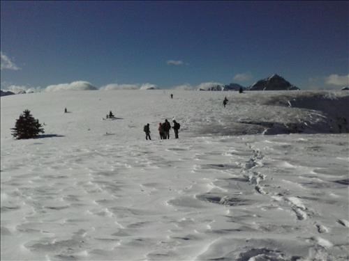 On the plateau