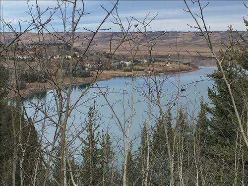-Valley Ridge Natural Area 3