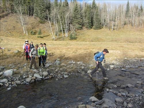 Waiting to see if Bruce falls in Dyson Creek