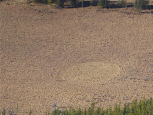 Mysterious circle