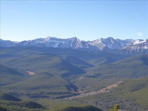 Panorama
