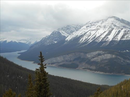 Spray Lake