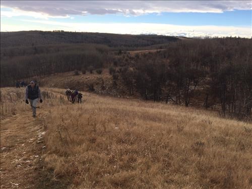 On the Paradise Trail