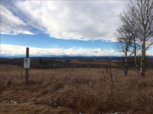 Snowy Mountain View