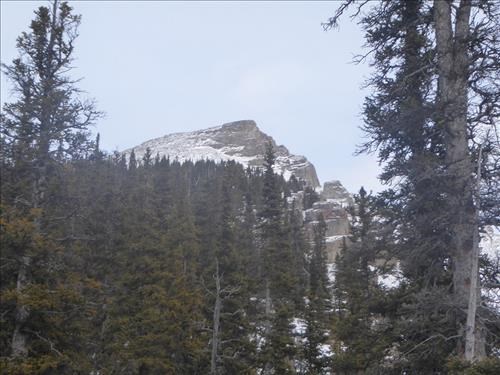 Little Lougheed