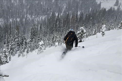 Gordon in the Pow!