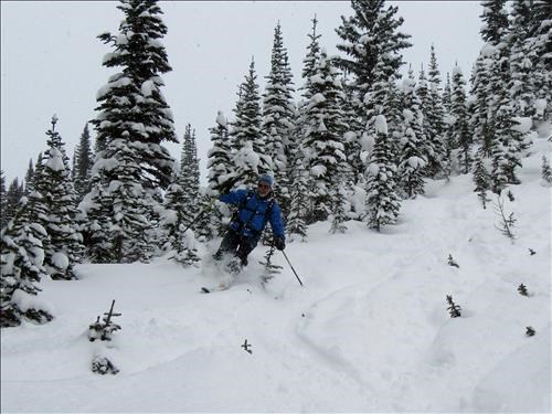 Ed making turns in the lower glades below Burstall Pass